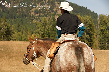 Tempo under saddle